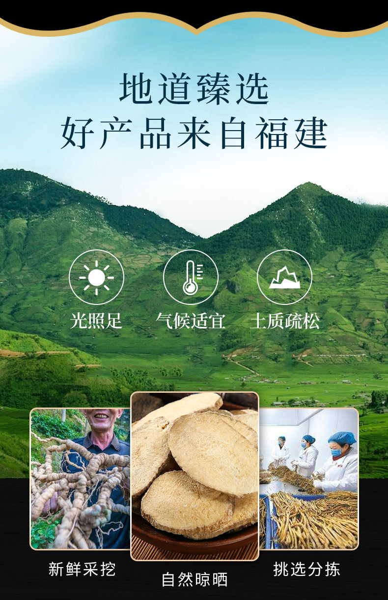 Ze Xie Slices & Powder (Alisma orientale / Alisma plantago-aquatica) — Dried TCM Herb, Unsulfured overview