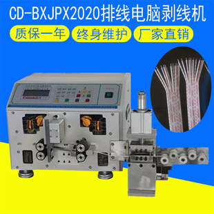 2020�ž���X�����C �p�K���þ��C ȫ�ԄӁK���ž��־��þ������C
