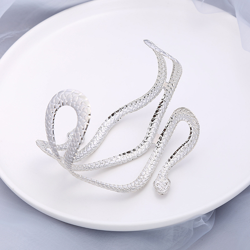 Fashion Snake Metal Plating Unisex Bangle 1 Piece