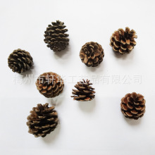 ������ᘷ���t�����~�ɹ������ɹ��}�Q�����b�Ʒ�S��ֱ��