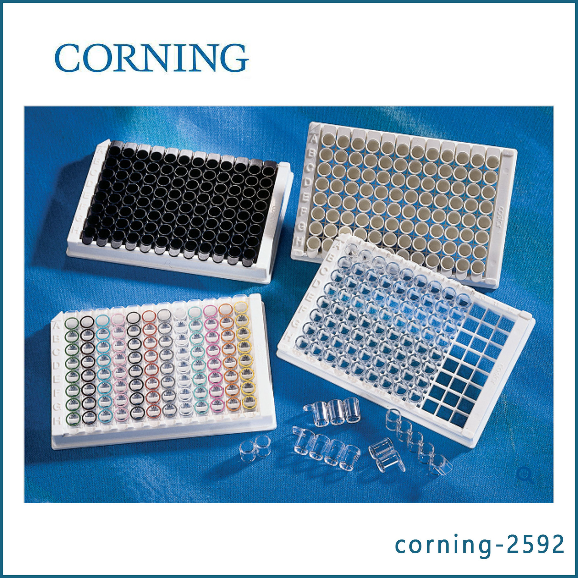 康宁corning2592  96孔条板 高结合 透明 未灭菌 无盖