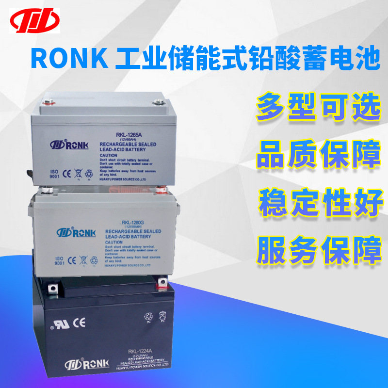 荣凯川仪RONK 工业储能蓄电池