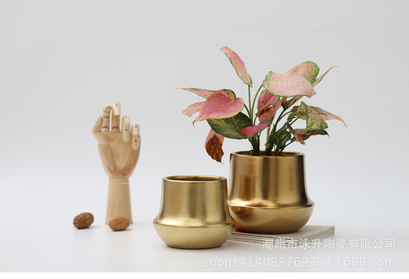 现代轻奢电镀金色陶瓷花盆家居园艺创意多肉蝴蝶兰花盆水培花盆 花盆 工艺陶瓷 陶瓷谷