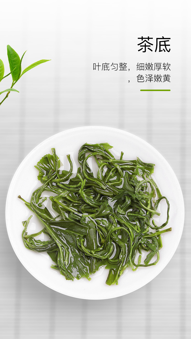 蒙顶山绿茶(香茶2#)_05
