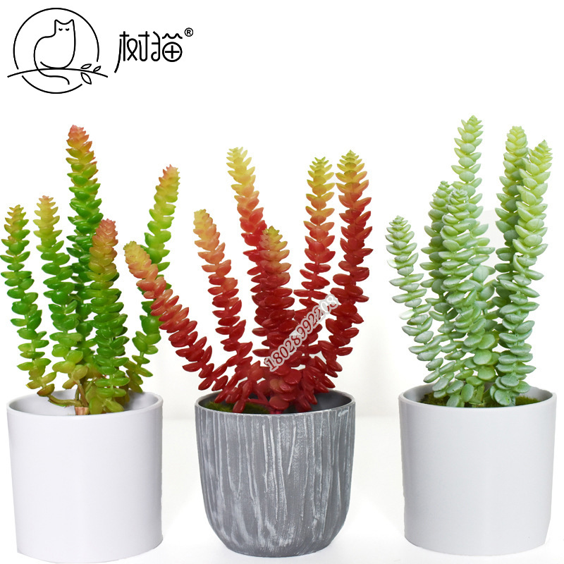 simulation Succulent plants Rouleaux Man-made Green plant indoor Cold platter Decorative flowers 3D three-dimensional combination Photo frame Flower art