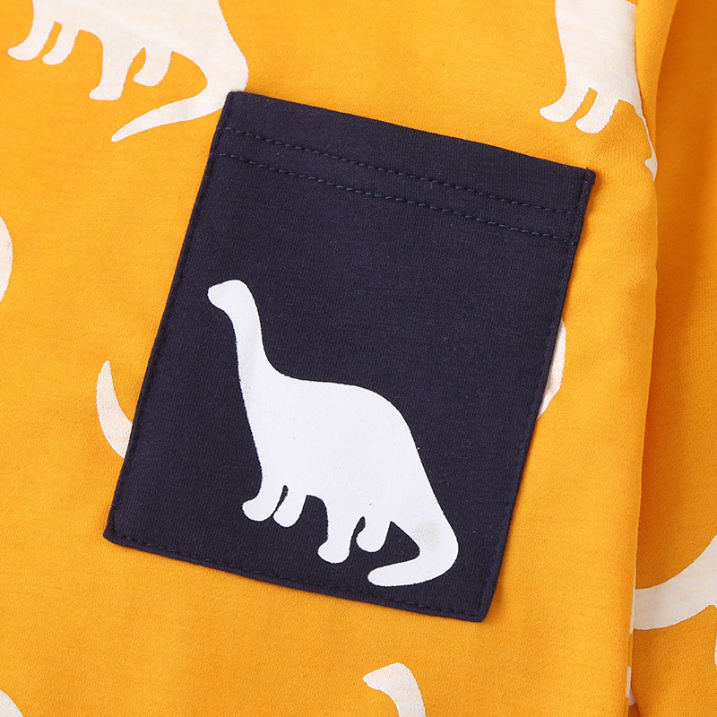 Nuevos Pantalones De Suéter Con Estampado De Dinosaurio De Dibujos Animados De Manga Larga Para Niños, Conjunto De Dos Piezas Al Por Mayor display picture 6