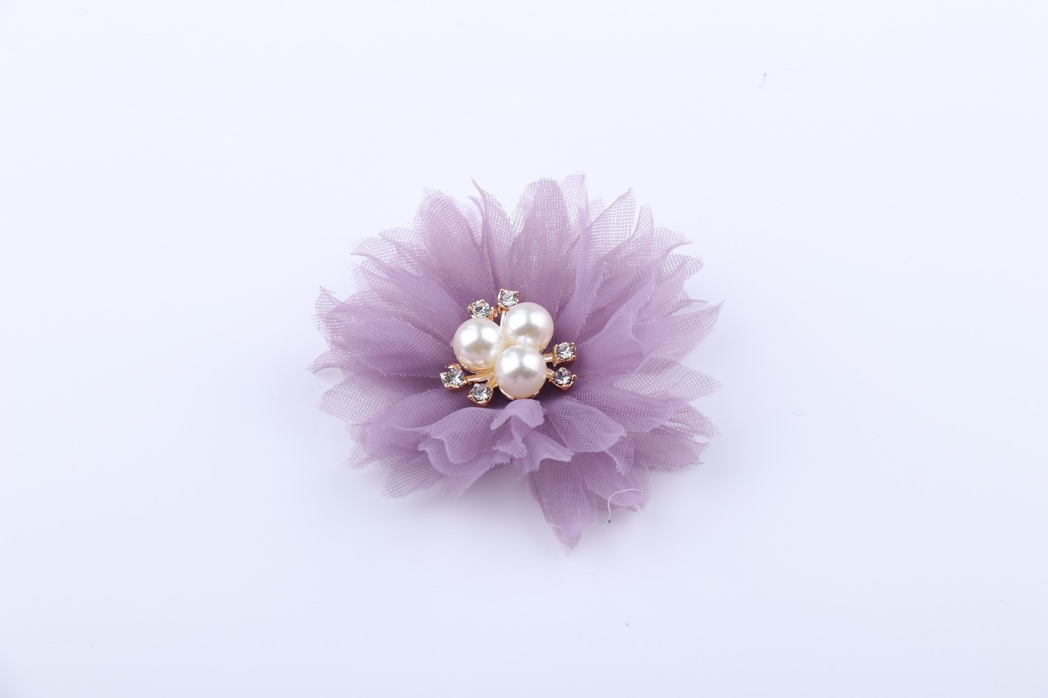 珍珠花_09.JPG