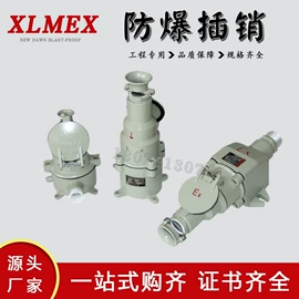 防爆灯;其他防爆器材;接头