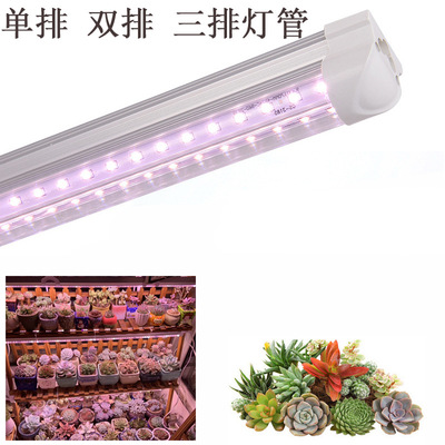indoor led Grow Light T8 Color fill-in light household T20led Plant Lights