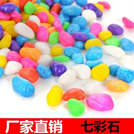 观赏龟、鳖;鱼缸;其它水族用品