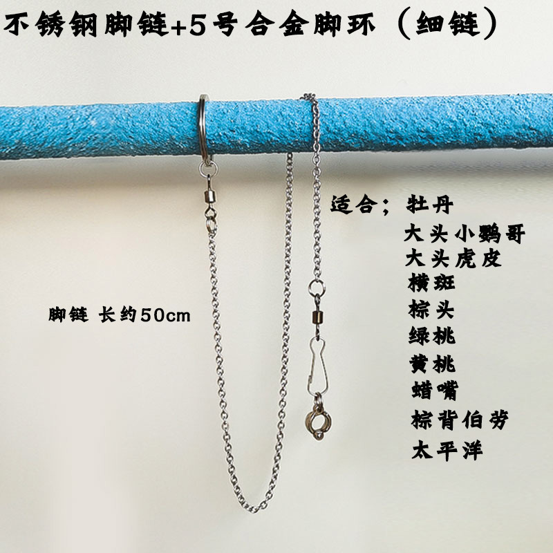 5号脚链