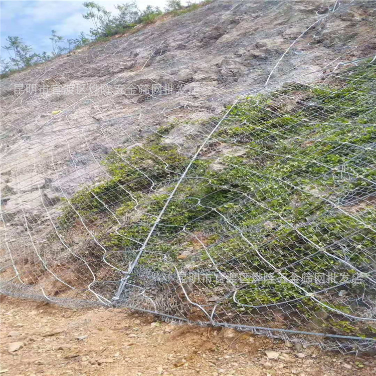 718e5cc6f7fa4f0ede30ff2a1579e9