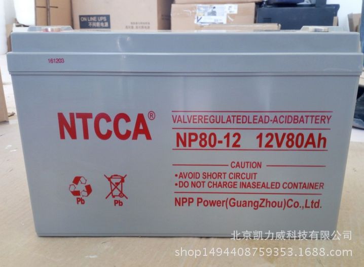 恩科蓄电池NP24-12(NTCCA)蓄电池12V24AH储能