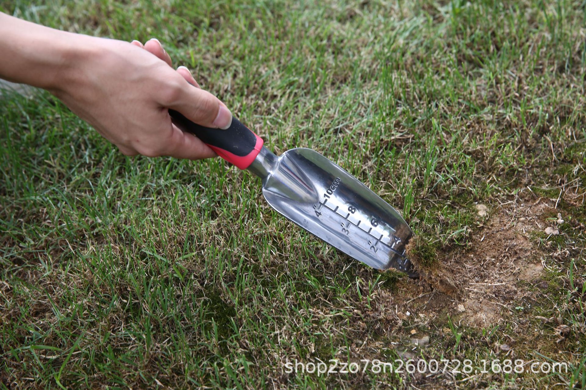 31c693f137c339fa03054194316562