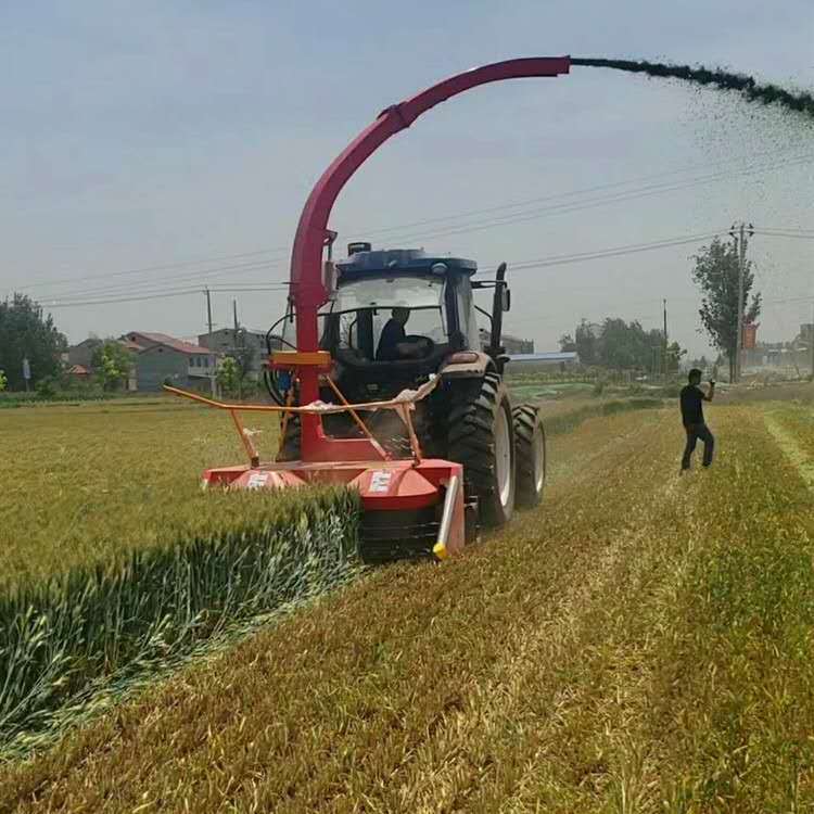 微信图片_20200228173311