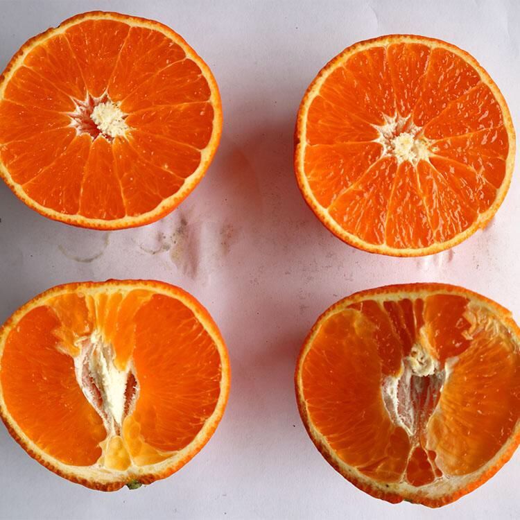 12444965840_944498898