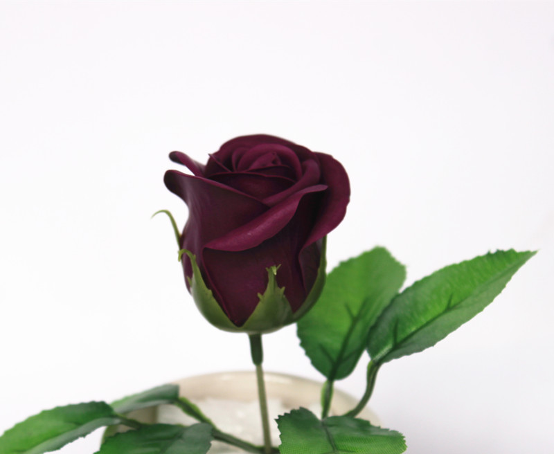 一键复制_20200227134219