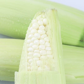 速冻果蔬类;盆栽;牛油果