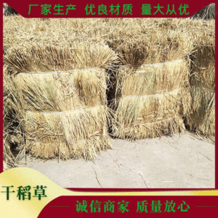 ���ɵ��ݡ�����ɻ��ɳĮ�G�����݉��������r�ñ��ش���ɵ���