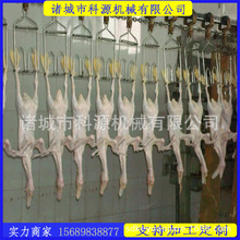 四川厂家 生产大肉鸭宰杀流水线 整套杀鸭设备厂家 麻鸭宰杀机械