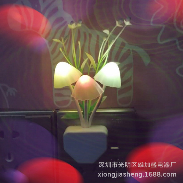 aquatic plants
