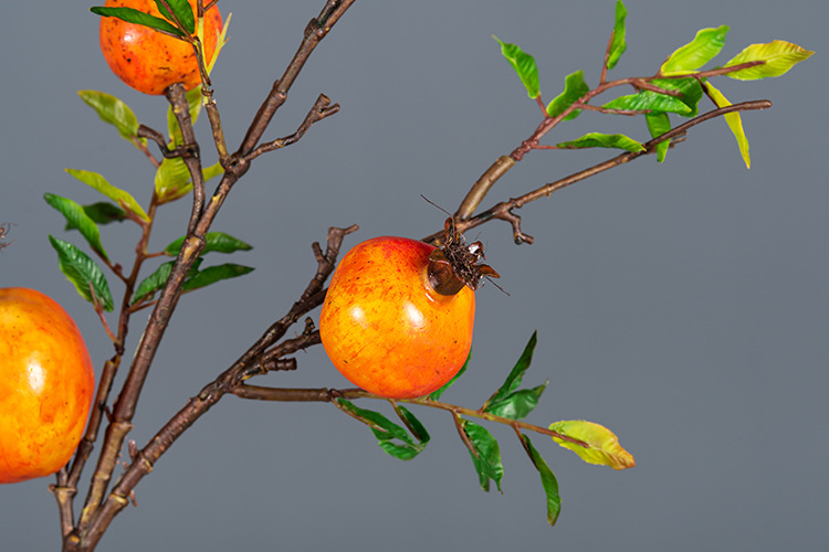 经典5头石榴 桔色_04.jpg