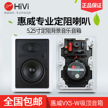 Hivi/惠威 VX5-W 吸頂喇叭 壁掛音箱天花 嵌入式天花音響vx6 vx8