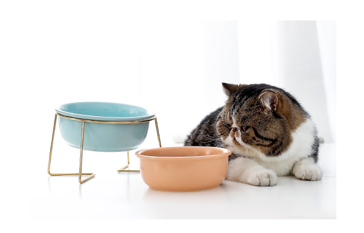 金架圆边猫碗_02.jpg