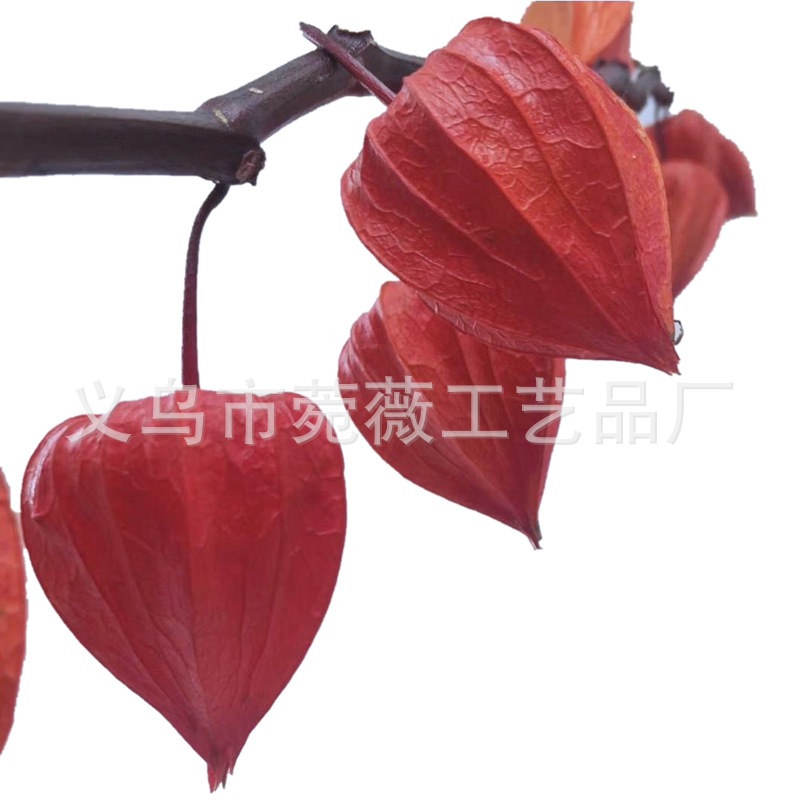 微信图片_20200422224018