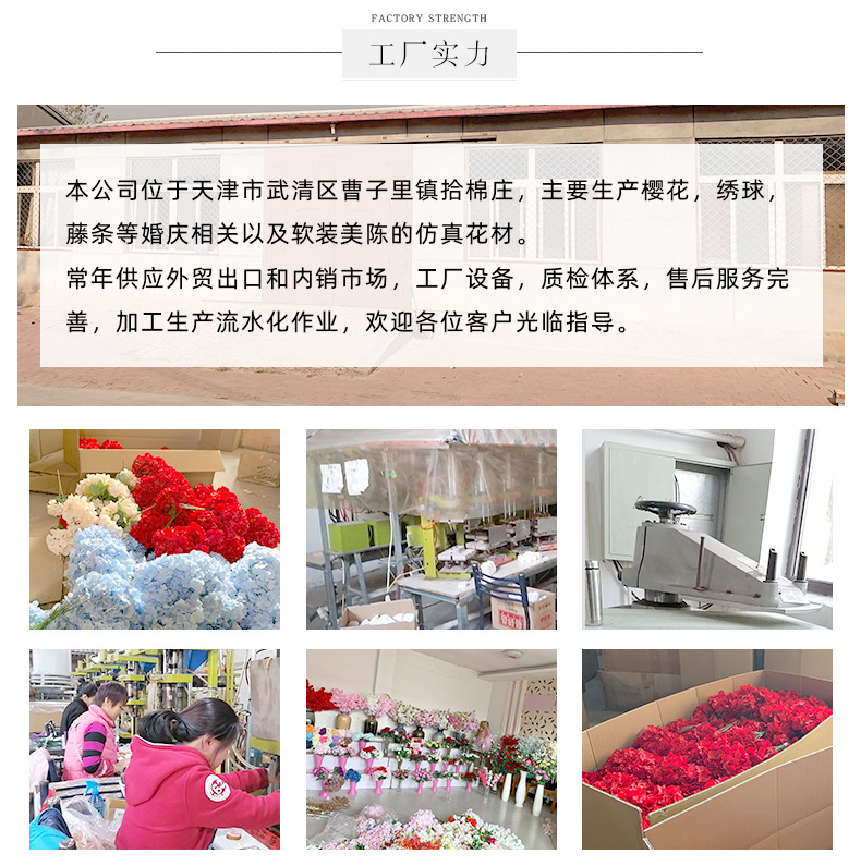四叉加苞小樱花_15.jpg