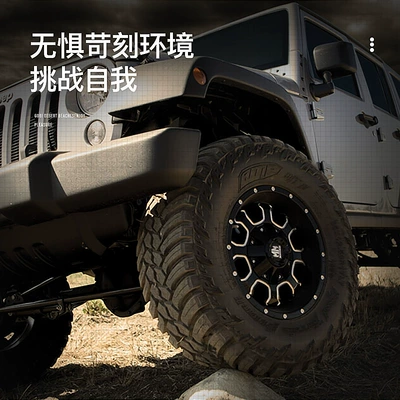 WRangleR RaptoR F150 – Off-road şinlər
