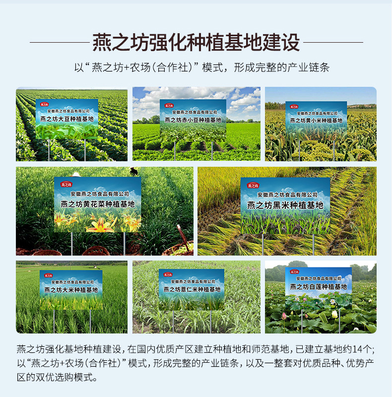 严选好食材-薏仁米(3)_17