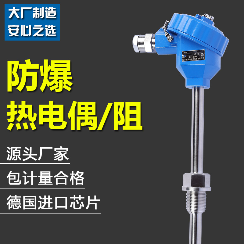 防爆K型热电偶高温防腐测温仪温度传感器探头隔爆型pt100热电阻|ms