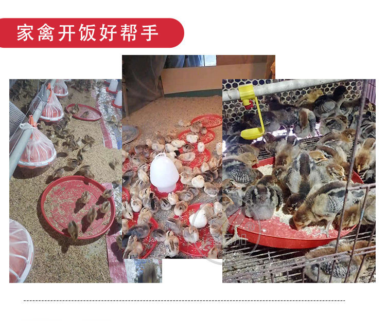 开食盘AA详情页 (2).jpg