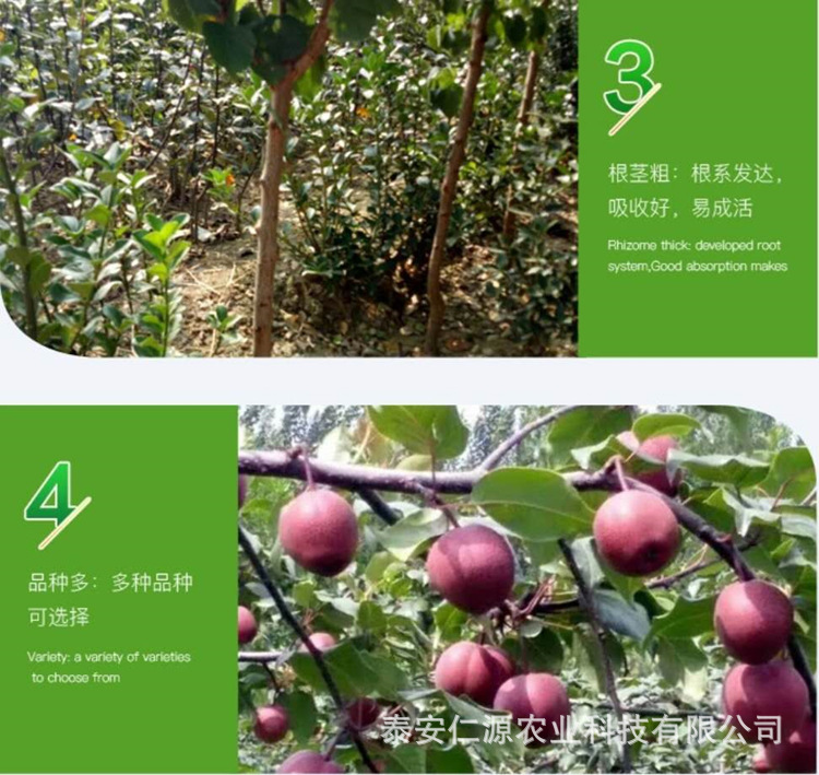 8a27715034f4564d4541b10c63c4ed