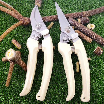 象牙白不锈钢园艺剪刀修枝剪果树花艺粗枝花剪省力修剪树枝剪枝|ru