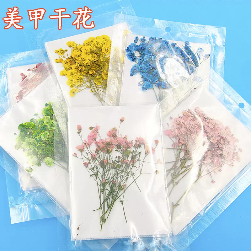 压花带枝香雪球满天星干花手工DIY滴胶素材相框美甲材料