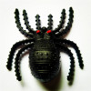 Plastic realistic toy, halloween, spider