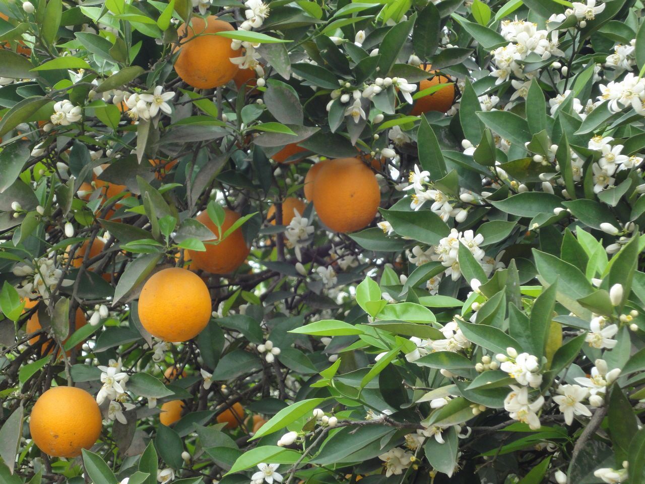 12529786059_944498898