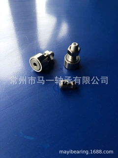 生产螺杆偏心型凸轮轴承BPK01-d6-PP  不锈钢型BPK02-d6-PP