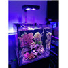 high-power Sea water tanks A052 Division crown Aquarium Light Low carbon energy saving LED Lamp bead lamp Fish tank lamp