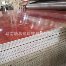 重慶建築模板 松木桉木材質 整芯整板 不翹曲變形 廠家簽約質保