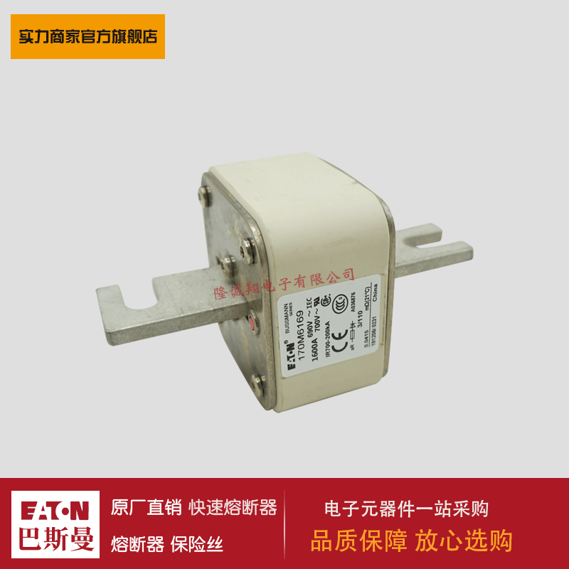 熔断器170M6192 170M6193 170M6194 170M6195 170M6196 170M6197
