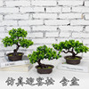 Factory Direct Sales Simulation Welcome Pot Pot Pot Popular Simulation Large Simulation Pine tree Bonsai Green Plants