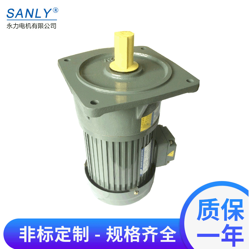 精品推荐 SANLY永力减速机GF40-2200-75S齿轮减速马达 质量保证
