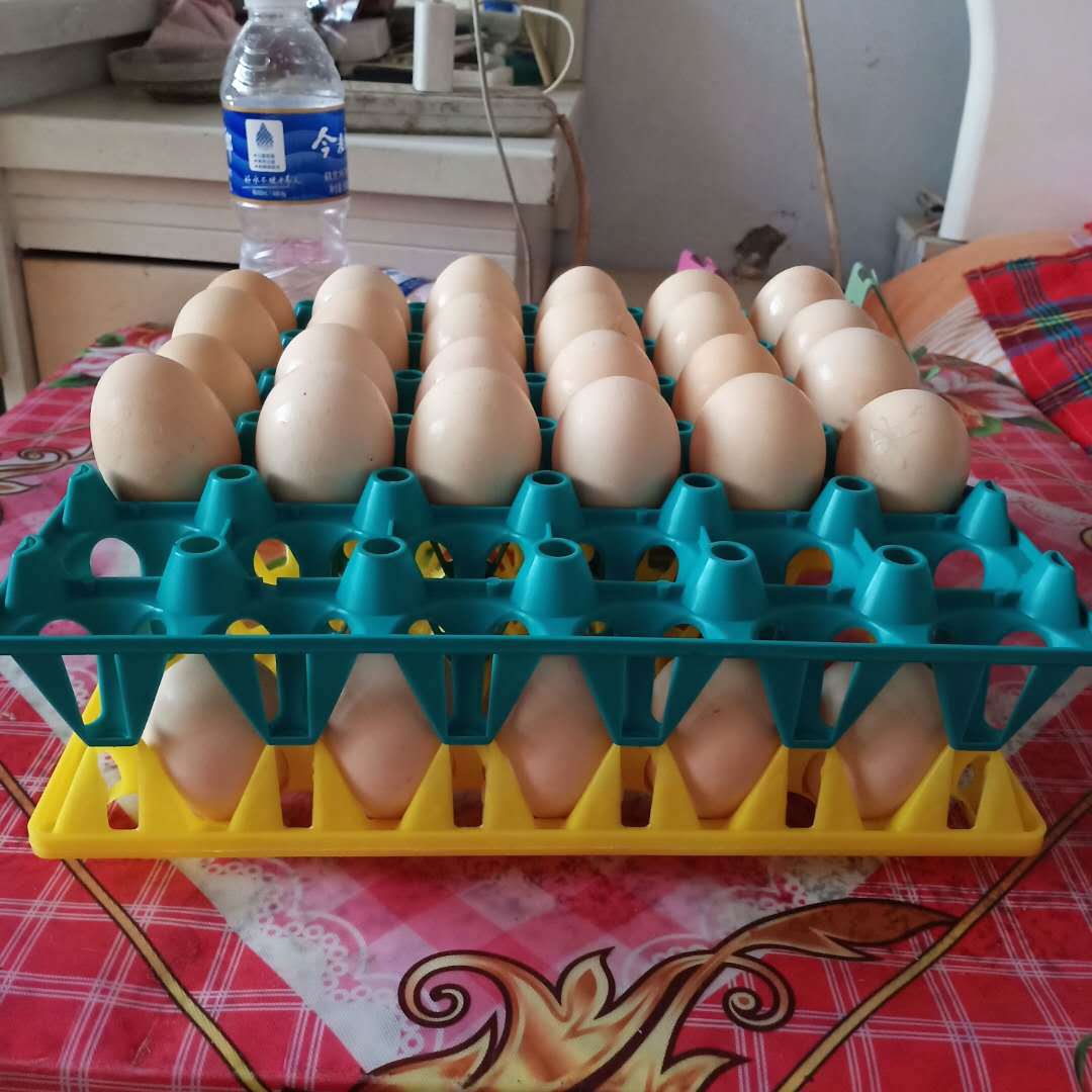 微信图片_20200622111639