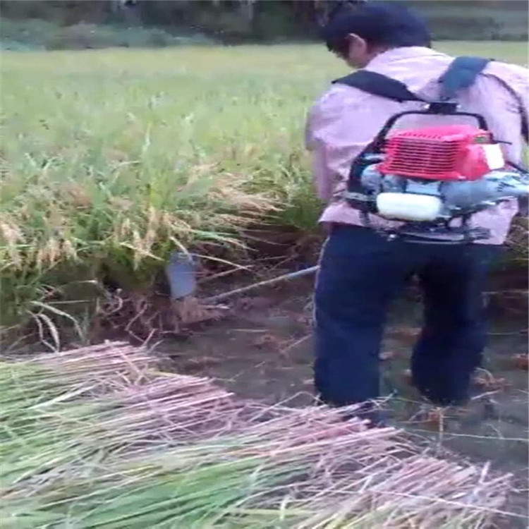 供应腾宇二冲程背负式割草机 打草机 源头工厂实惠耐用