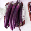 Eggplant seeds Purple Dragon, Purple Purple Red Seeds Spring and Summer Vegetable Seeds, Pork Seeds, Seed Seeds