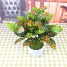 ����׃ɫľ���� �����S���~ ֲ��@�־G����� ����ֲ������