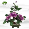 Purple (booked)